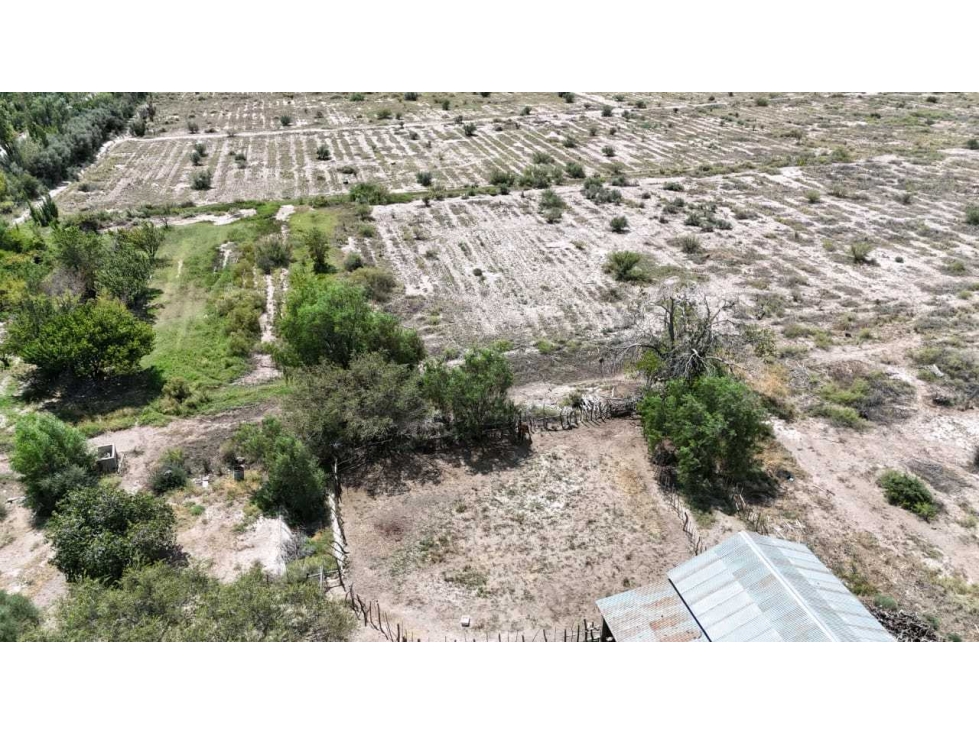 VENTA EXCEPCIONAL FINCA DE 231 HAS EN LOS CAMPAMENTOS- RIVADAVIA, MZA - 2