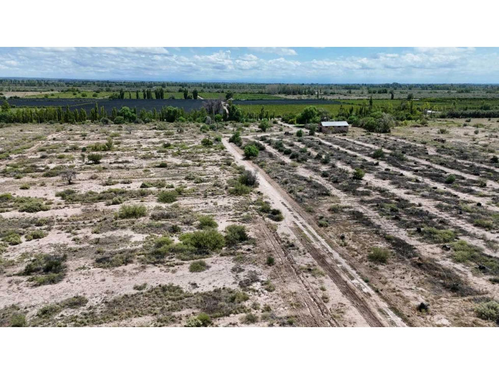 VENTA EXCEPCIONAL FINCA DE 231 HAS EN LOS CAMPAMENTOS- RIVADAVIA, MZA - 4