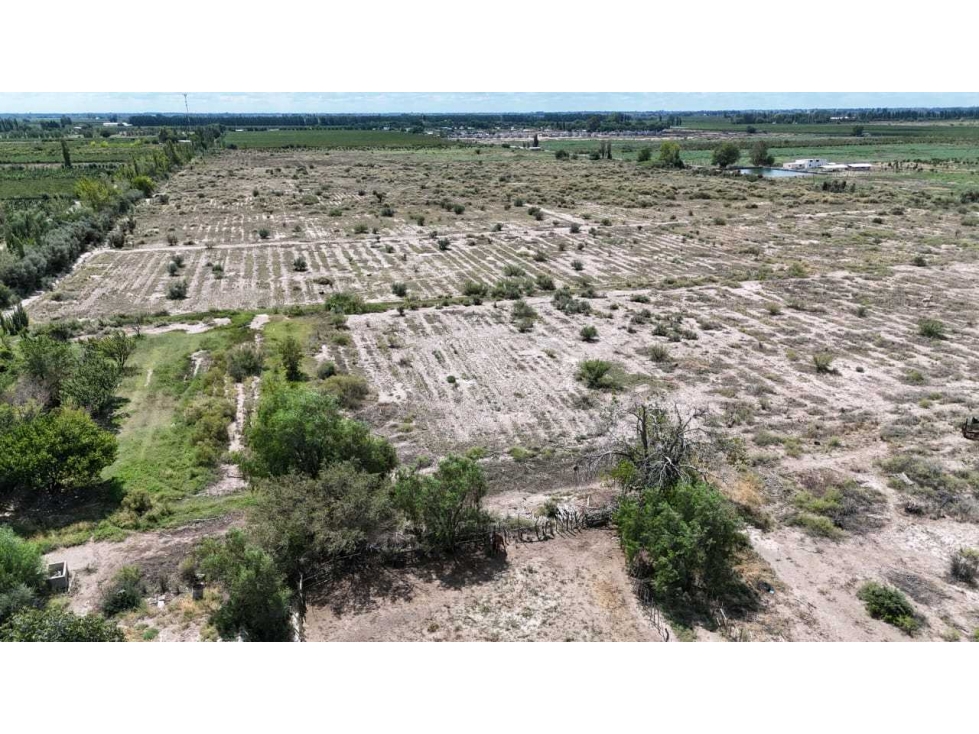 VENTA EXCEPCIONAL FINCA DE 231 HAS EN LOS CAMPAMENTOS- RIVADAVIA, MZA - 5