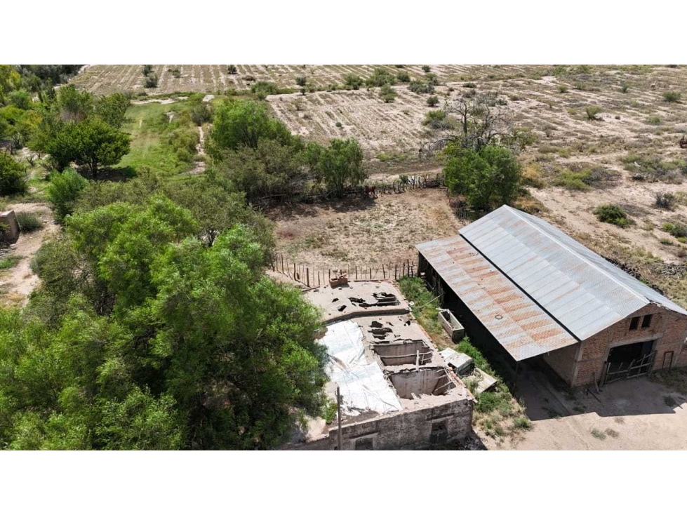 VENTA EXCEPCIONAL FINCA DE 231 HAS EN LOS CAMPAMENTOS- RIVADAVIA, MZA - 6
