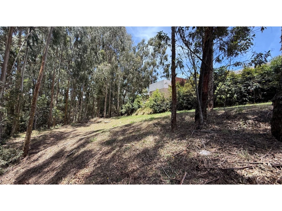 Venta Exclusivo Lote Alto De Las Palmas Envigado Antioquia