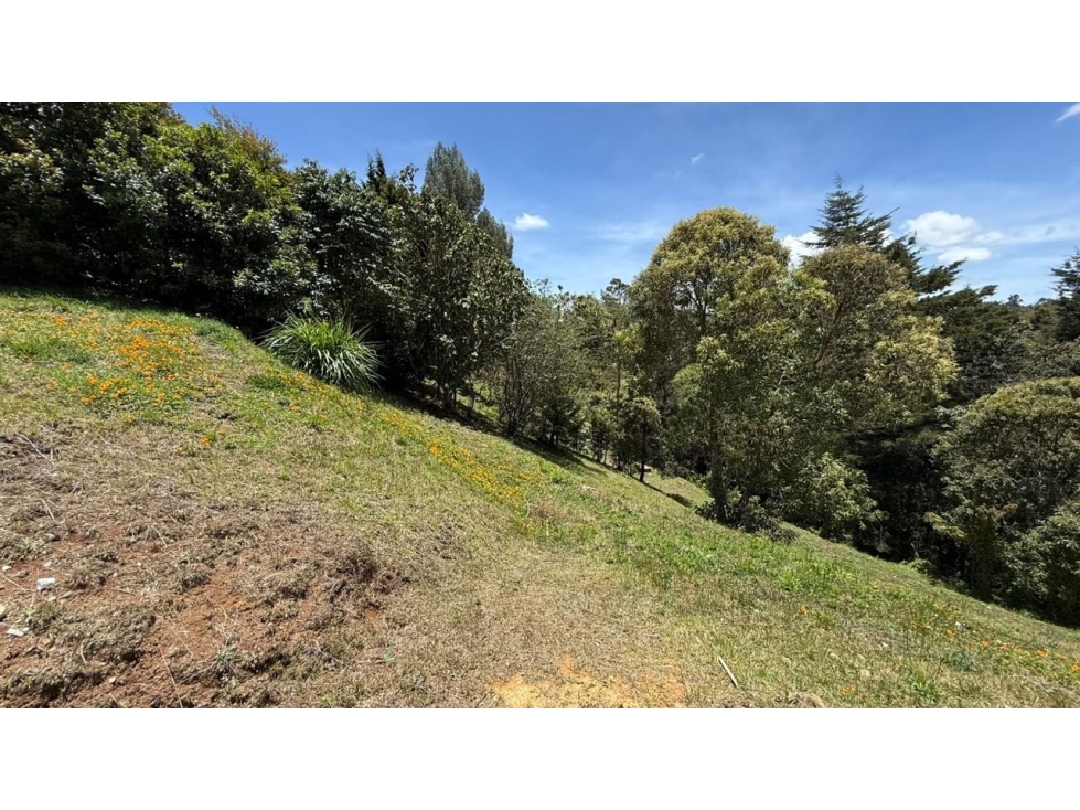 Venta Exlusivo Lote Alto de Palmas Envigado Antioquia — foto 2