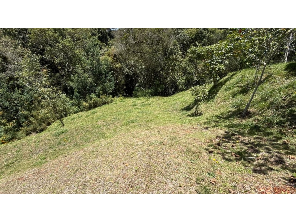 Venta Exlusivo Lote Alto de Palmas Envigado Antioquia — foto 4