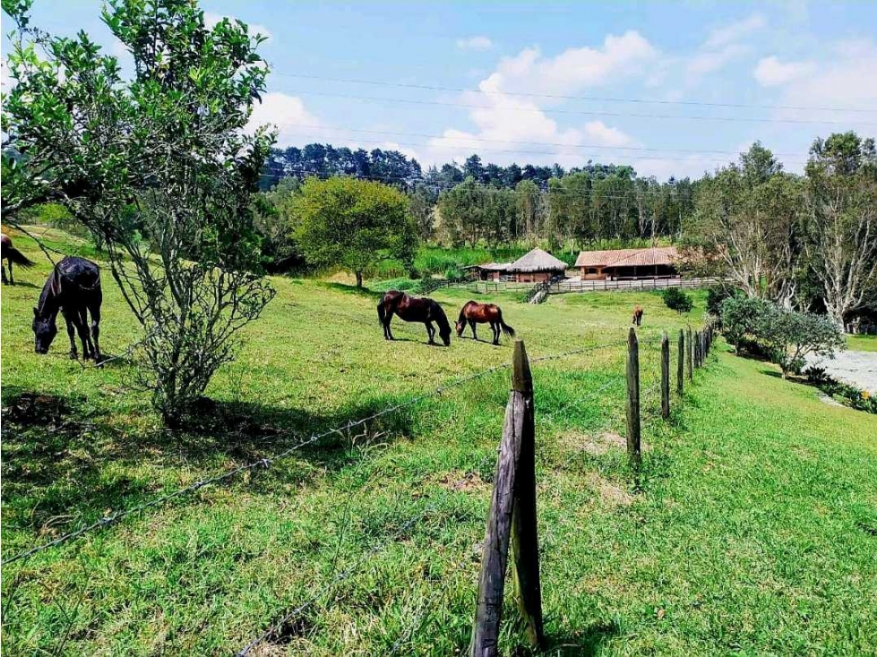Venta extraordinaria finca llano grande sector el tablazo - 2