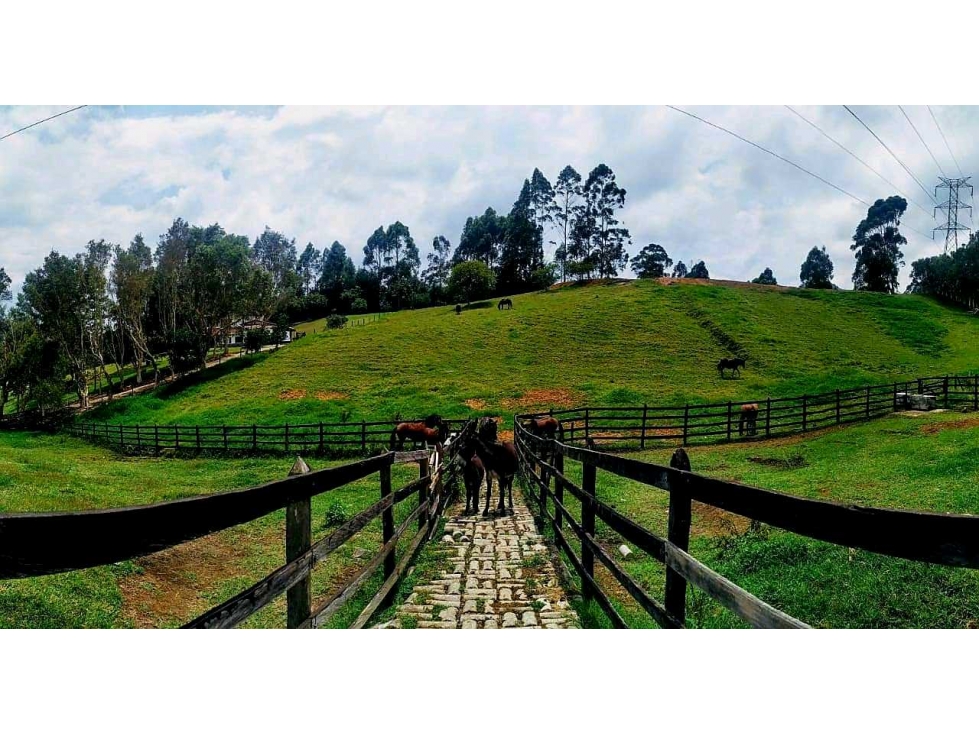 Venta extraordinaria finca llano grande sector el tablazo - 4