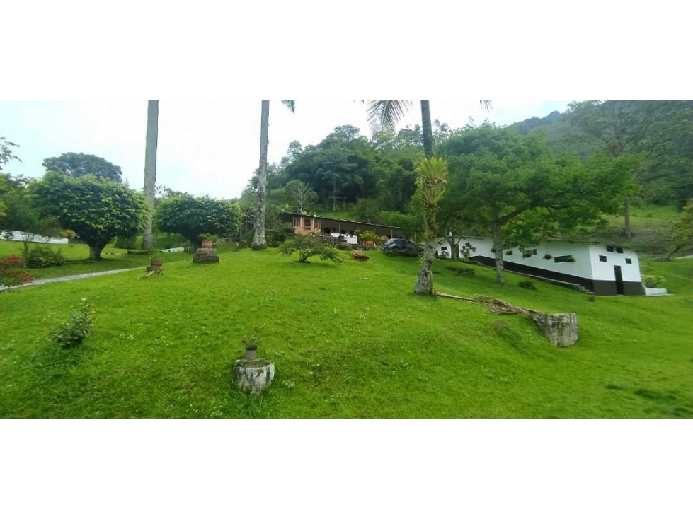 VENTA DE FINCA EN AMAGA - SUROESTE ANTIOQUEÑO - 6