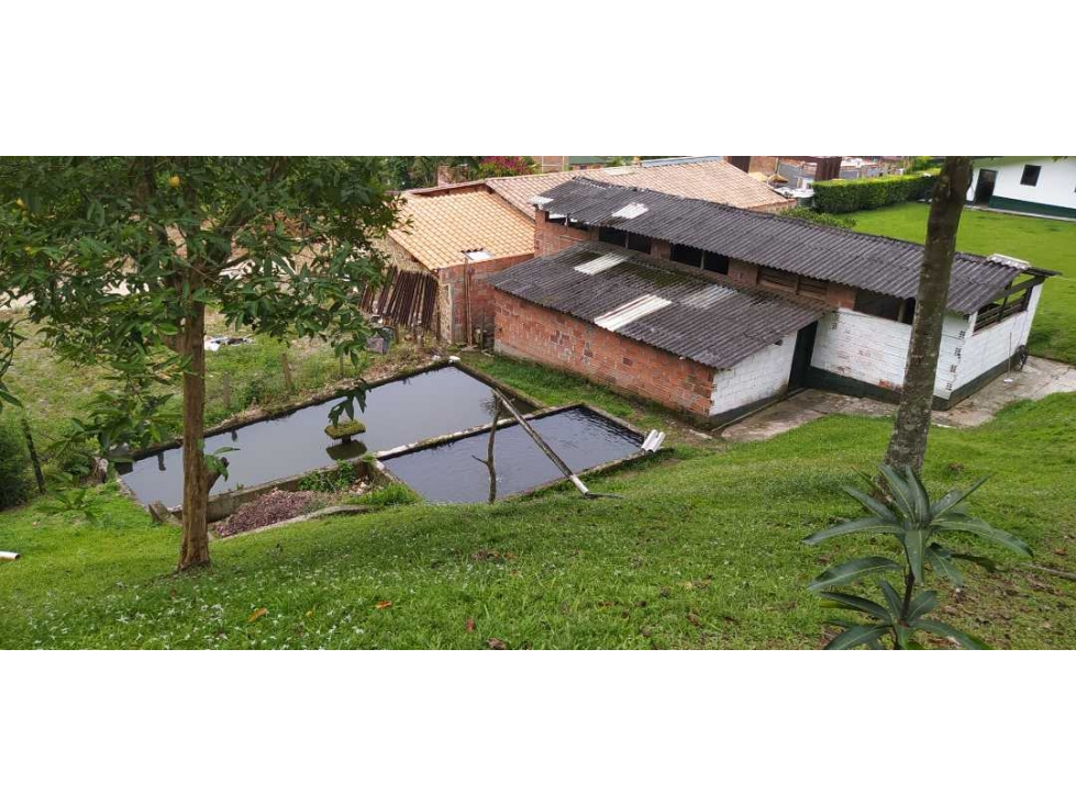 VENTA DE FINCA EN AMAGA - SUROESTE ANTIOQUEÑO - 3