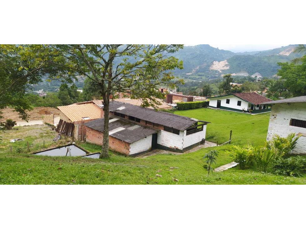 VENTA DE FINCA EN AMAGA - SUROESTE ANTIOQUEÑO - 4