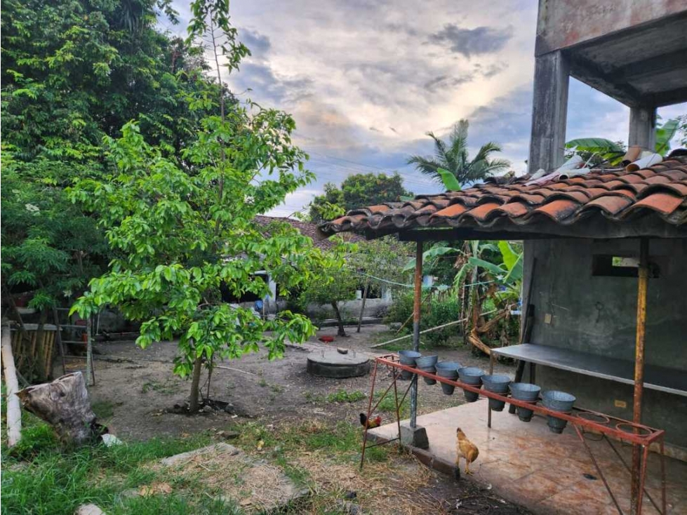 VENTA LOTE FINCA 18.000 MTS2 AL NORTE DEL VALLE- EL OVERO - 3