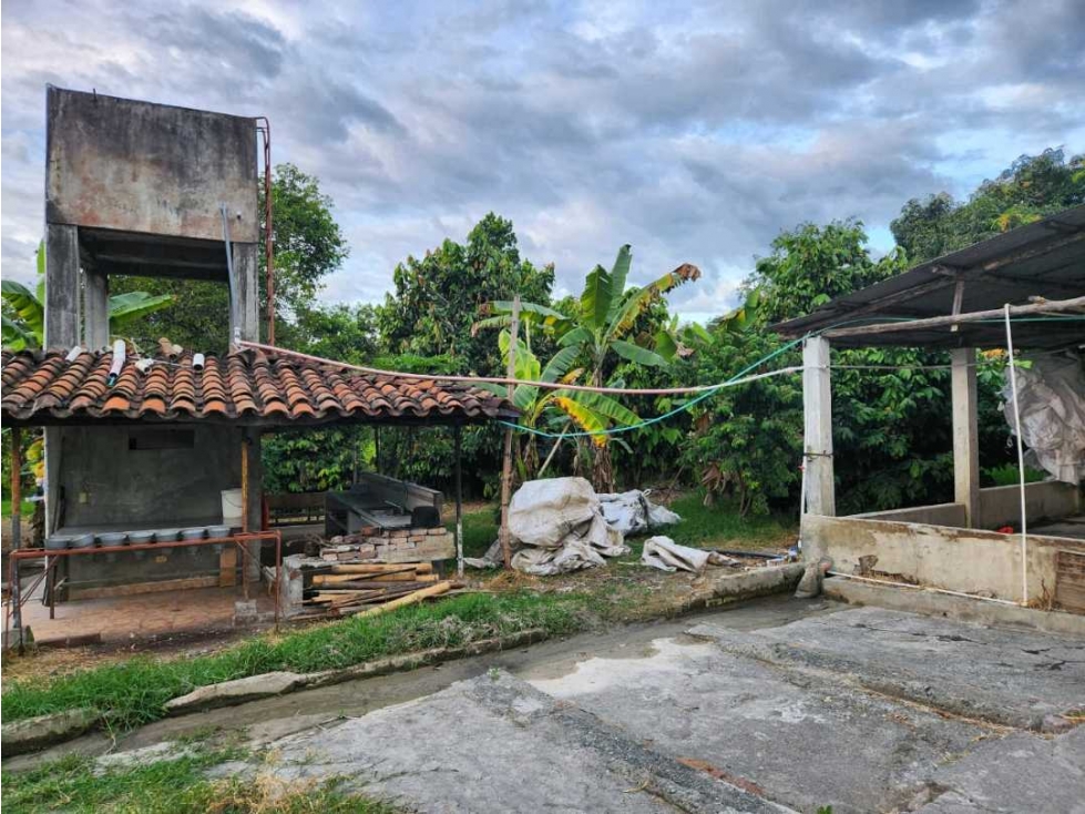 VENTA LOTE FINCA 18.000 MTS2 AL NORTE DEL VALLE- EL OVERO - 4