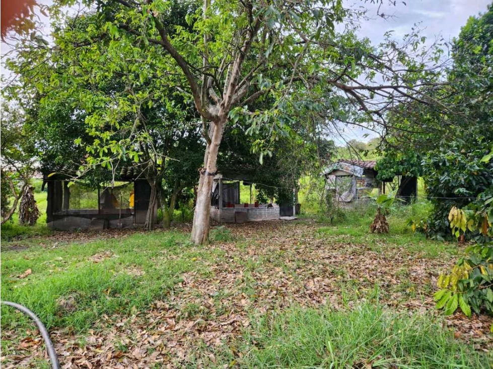 VENTA LOTE FINCA 18.000 MTS2 AL NORTE DEL VALLE- EL OVERO - 5