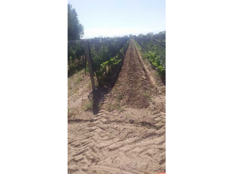 VENTA DE HERMOSA FINCA 25 HAS, LOS OTOYANES, SANTA ROSA-MZA - 3