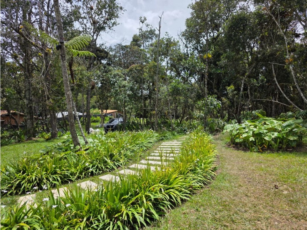 Venta FINCA a 30min del AEROPUERTO de RIONEGRO — foto 2