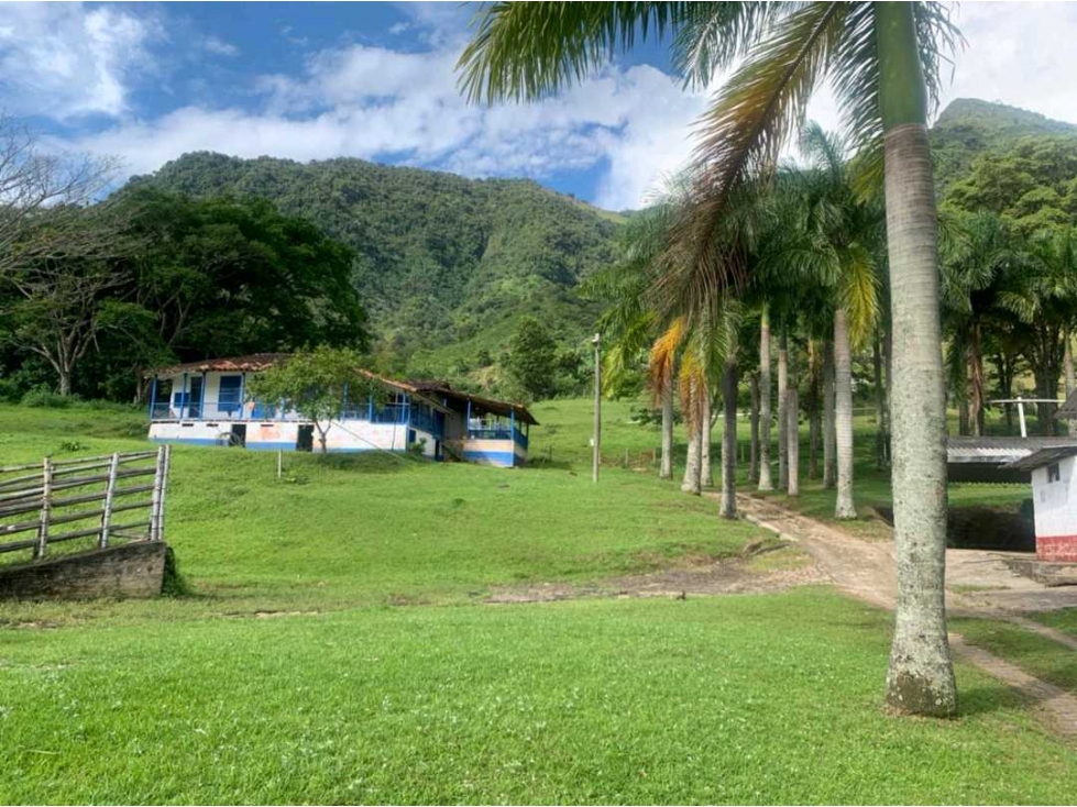 Venta finca andes Antioquia — foto 2