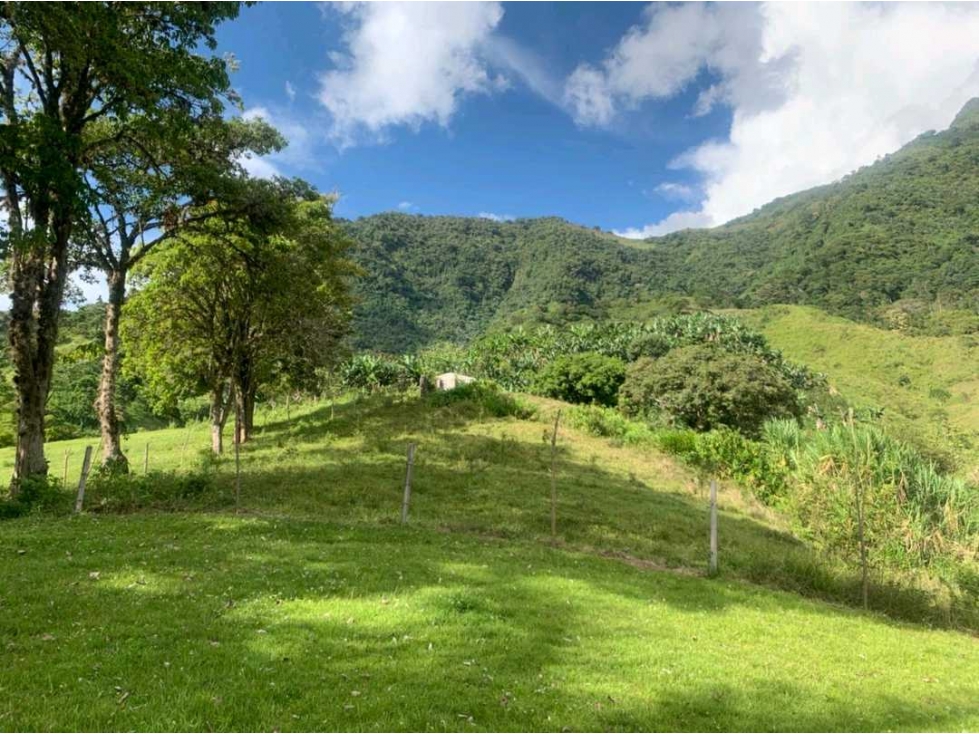 Venta finca andes Antioquia — foto 3