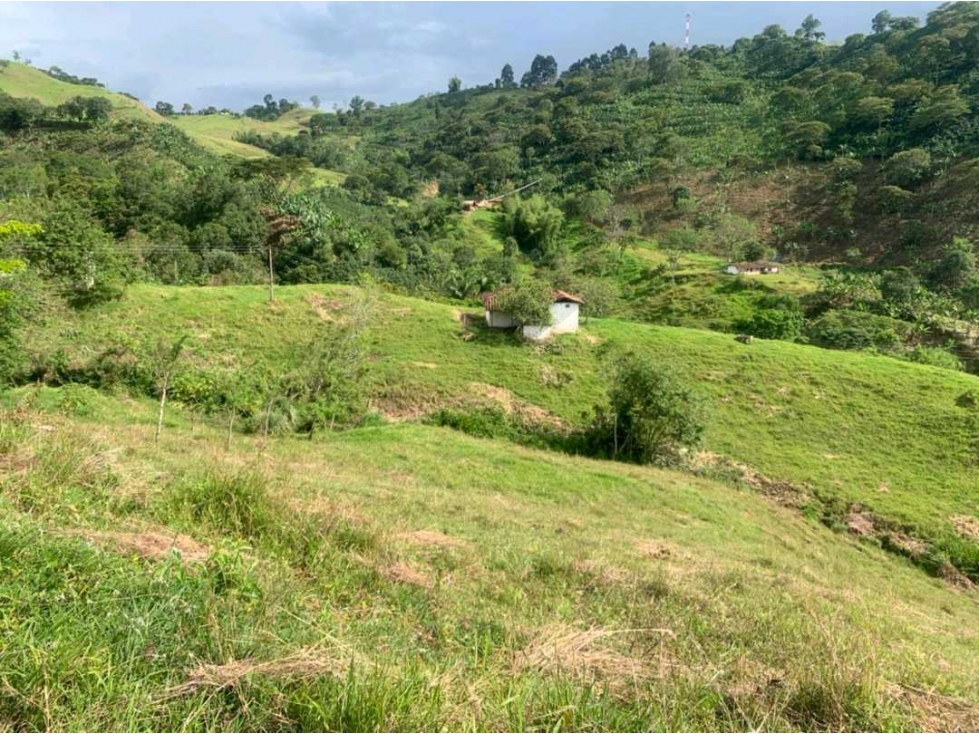 Venta finca andes Antioquia — foto 4