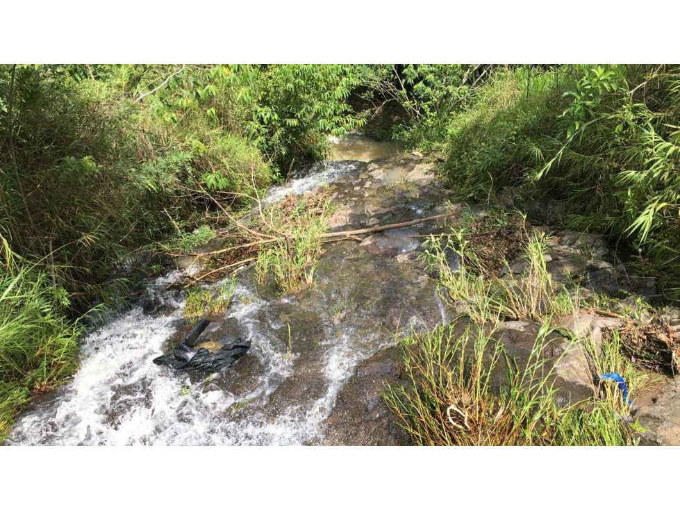 Venta finca andes Antioquia — foto 5