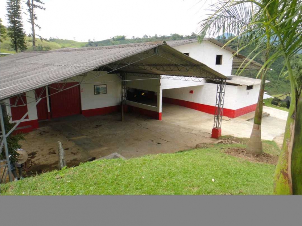 Venta finca andes Antioquia — foto 6
