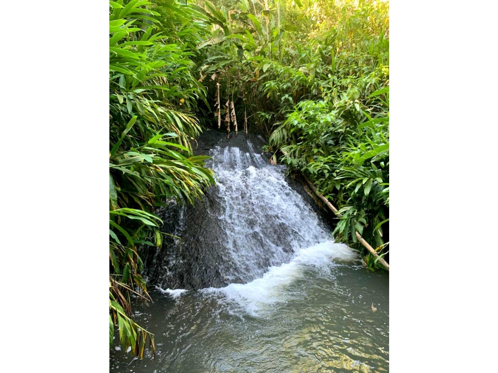Venta finca andes Antioquia