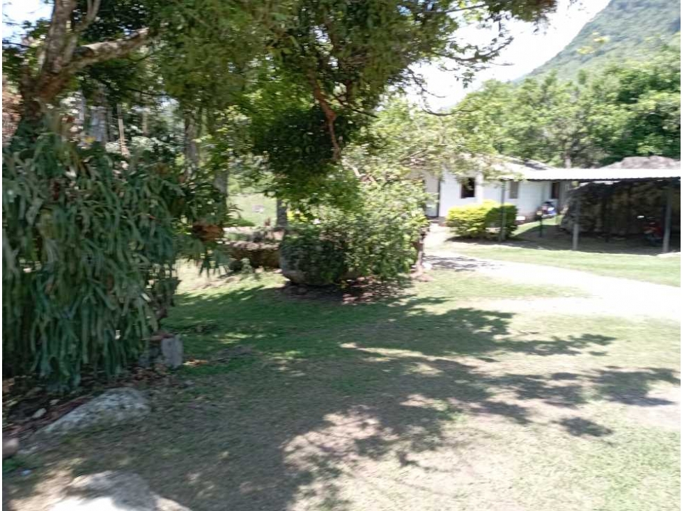 VENTA FINCA BOLOMBOLO, SUROESTE ANTIOQUEÑO. - 3