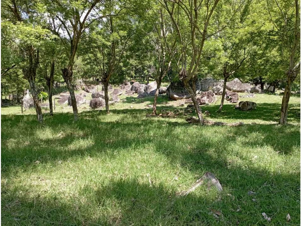 VENTA FINCA BOLOMBOLO, SUROESTE ANTIOQUEÑO. - 6