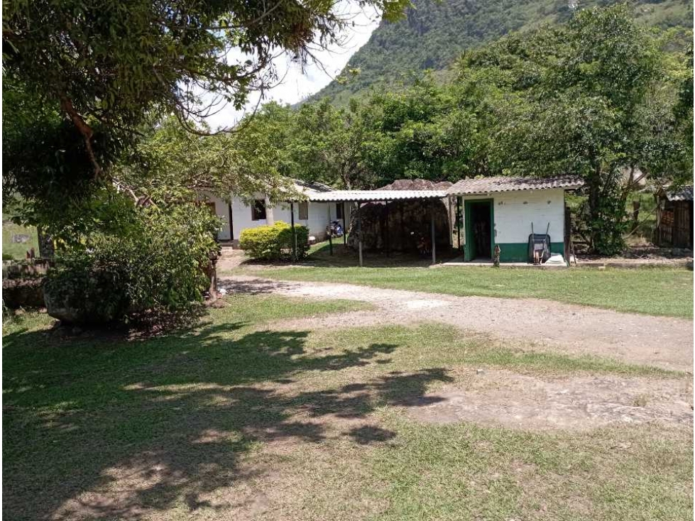 VENTA FINCA BOLOMBOLO, SUROESTE ANTIOQUEÑO. - 4