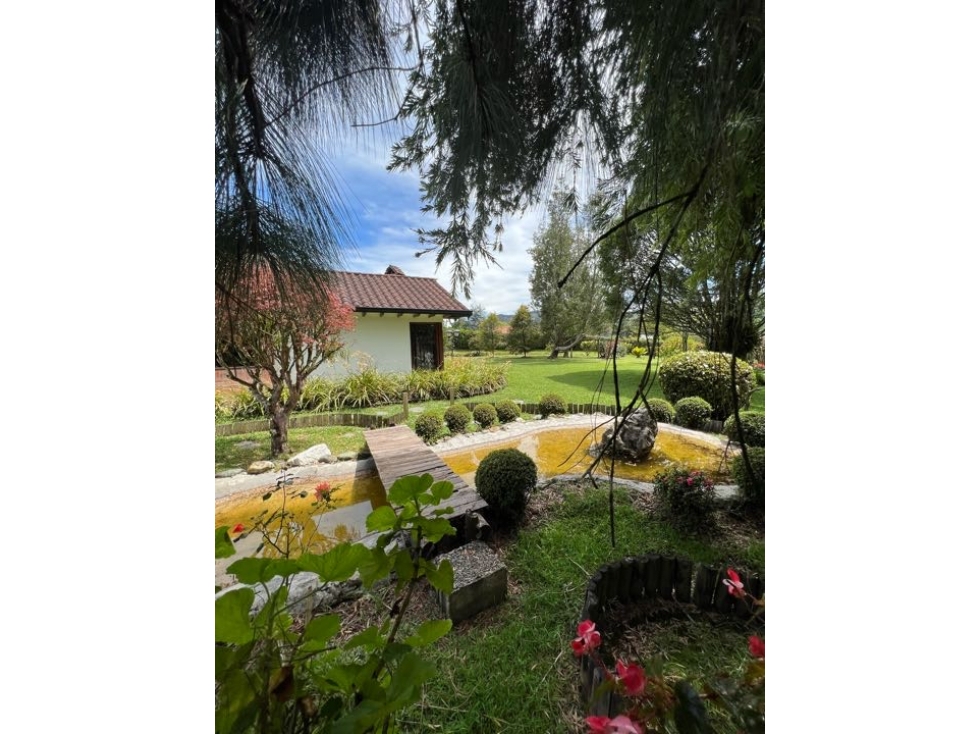 Venta Finca Cabeceras Rionegro lote 9.431 mts2 construido 426,36 Mts2 — foto 3