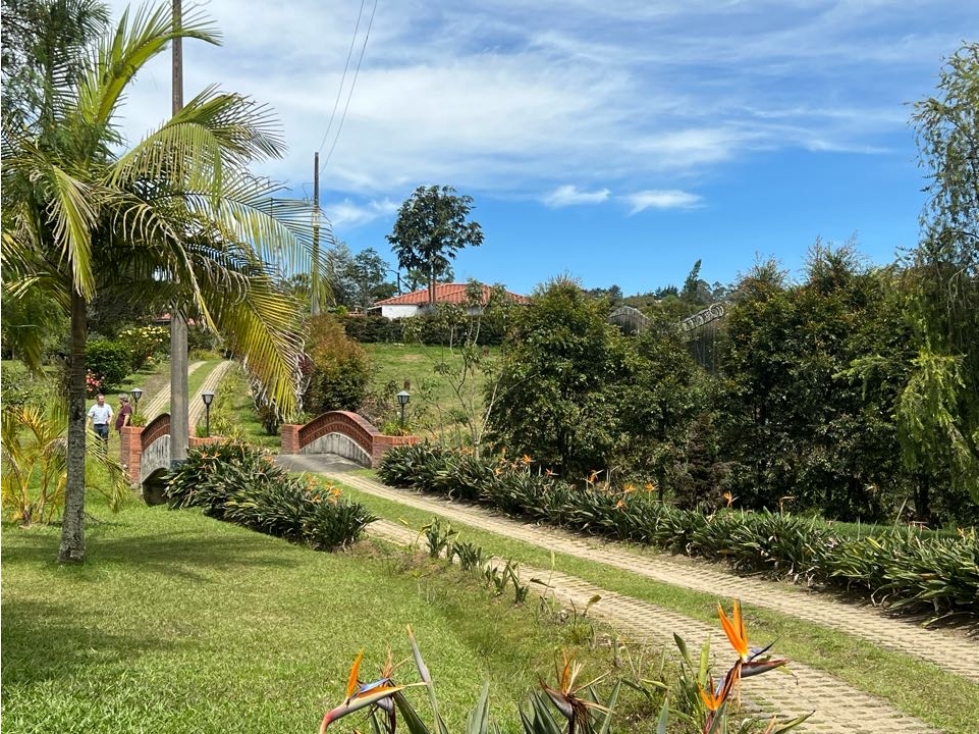 Venta Finca Cabeceras Rionegro lote 9.431 mts2 construido 426,36 Mts2 — foto 5