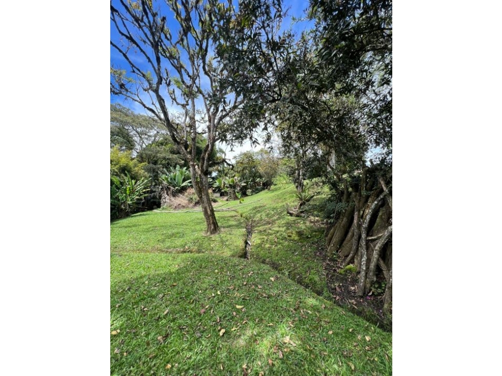 Venta Finca Cabeceras Rionegro lote 9.431 mts2 construido 426,36 Mts2 — foto 6