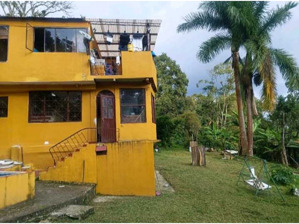 Venta o arriendo Anolaima1Hectarea arboles frutales casa 260 mts YM - 2