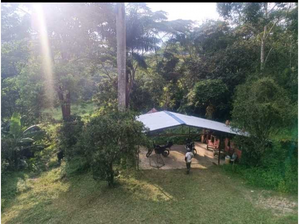 Venta o arriendo Anolaima1Hectarea arboles frutales casa 260 mts YM - 6