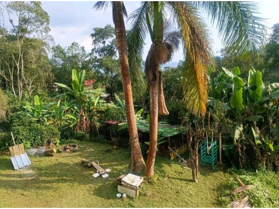 Venta o arriendo Anolaima1Hectarea arboles frutales casa 260 mts YM - 3
