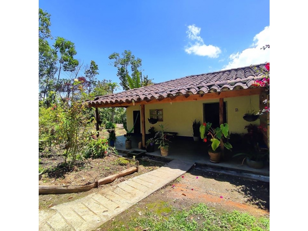 Venta finca Carmen de Viboral, Alto Grande Casa 146m2, Lote 6.147m2