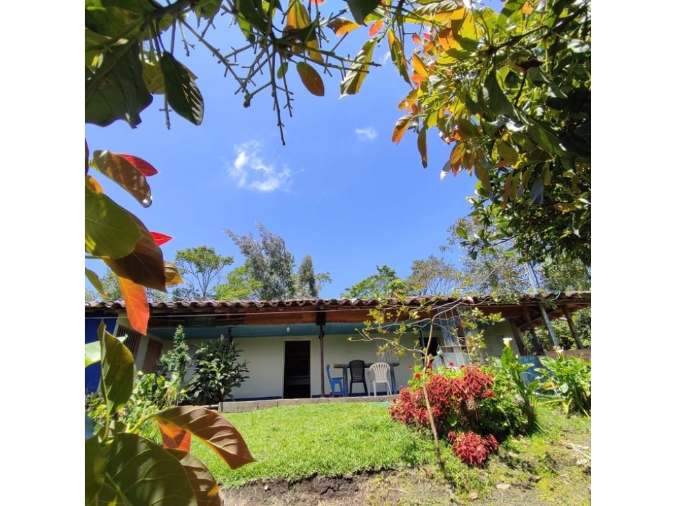 Venta finca Carmen de Viboral, Alto Grande Casa 146m2, Lote 6.147m2 — foto 4