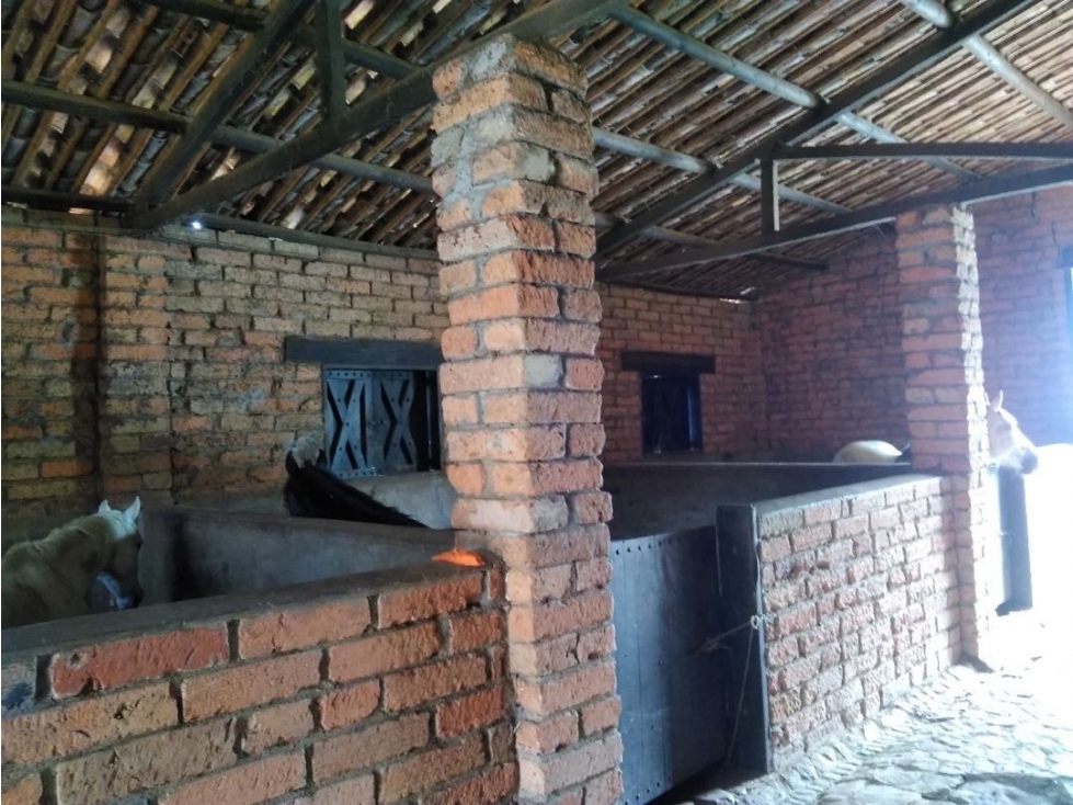 Finca en Venta con caballerizas en Girardota — foto 4