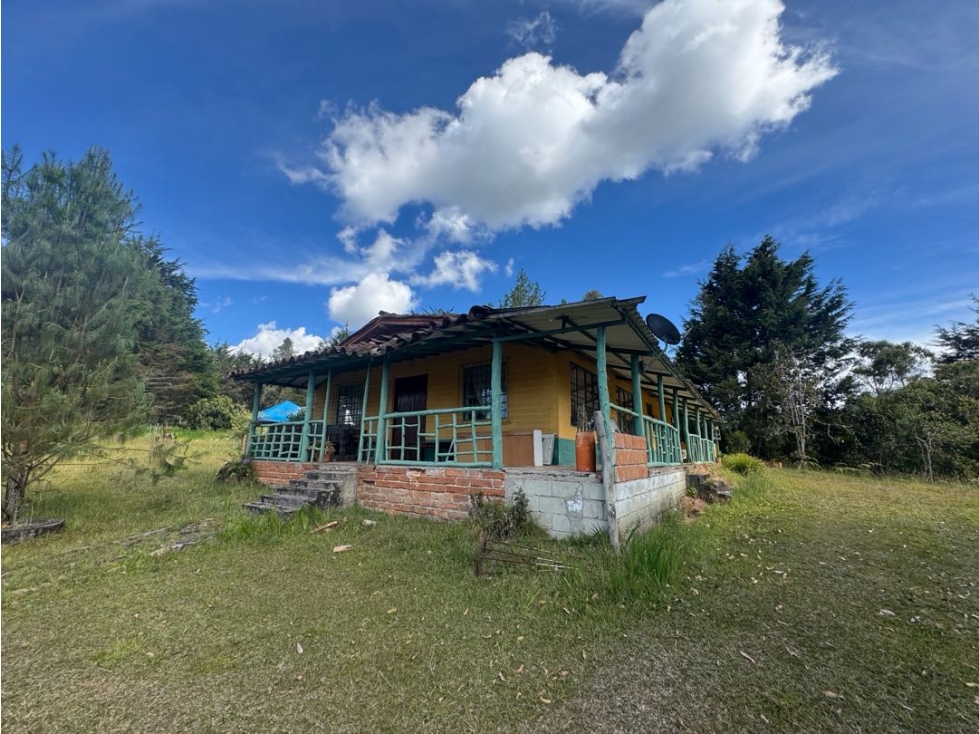 Finca en Venta en Santa Elena, 4 casas y bosque privado.A5min del parq