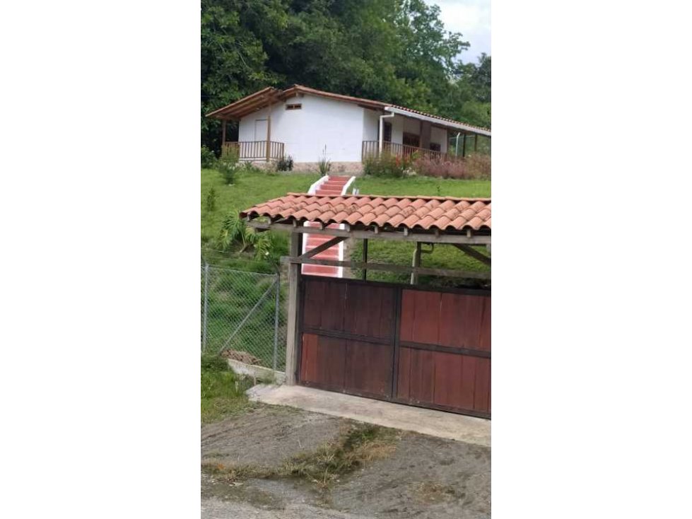 VENTA FINCA CORREGIMIENTO QUEBRADA NUEVA - VÍA VALLE - 2