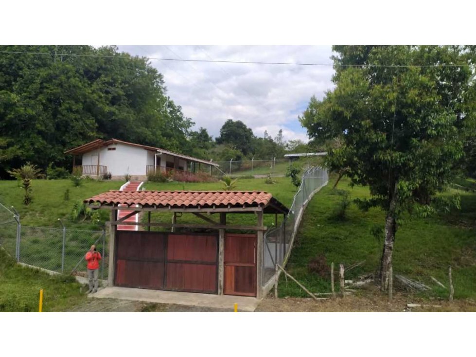 VENTA FINCA CORREGIMIENTO QUEBRADA NUEVA - VÍA VALLE - 3