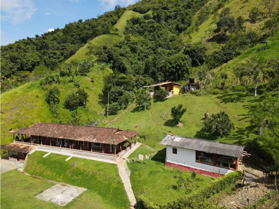 VENTA FINCA DAMASCO, SUROESTE ANTIOQUEÑO - 4