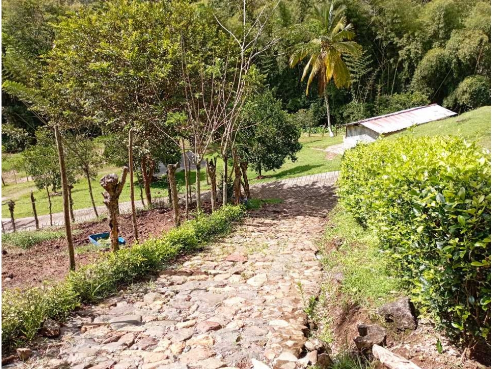 VENTA FINCA DAMASCO, SUROESTE ANTIOQUEÑO - 3