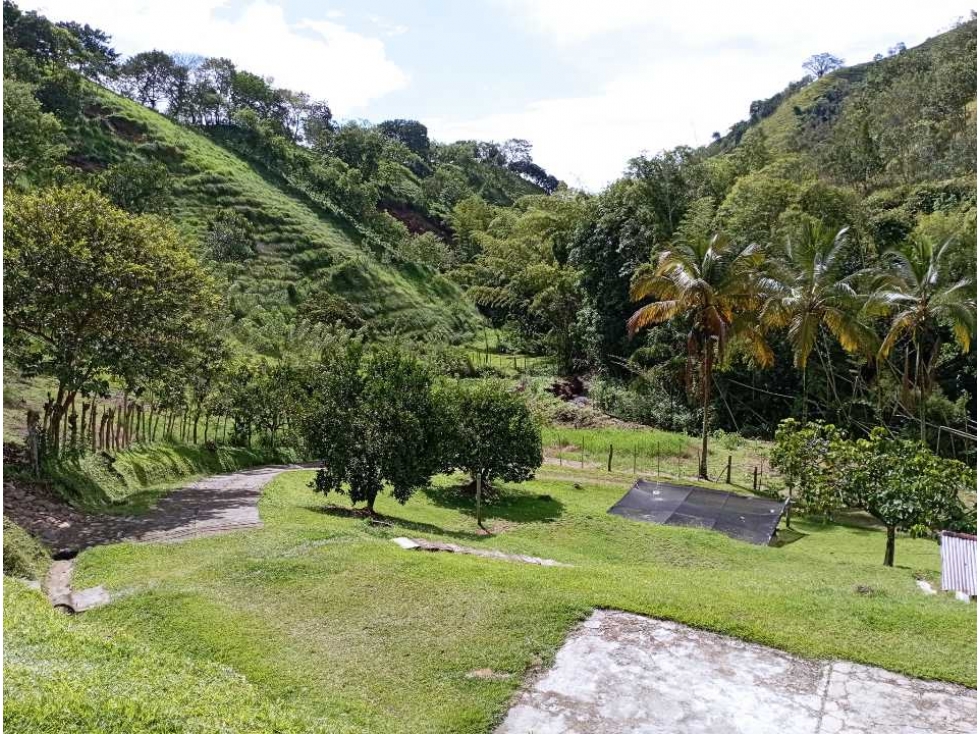 VENTA FINCA DAMASCO, SUROESTE ANTIOQUEÑO - 1