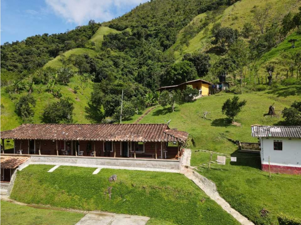 VENTA FINCA DAMASCO, SUROESTE ANTIOQUEÑO - 2