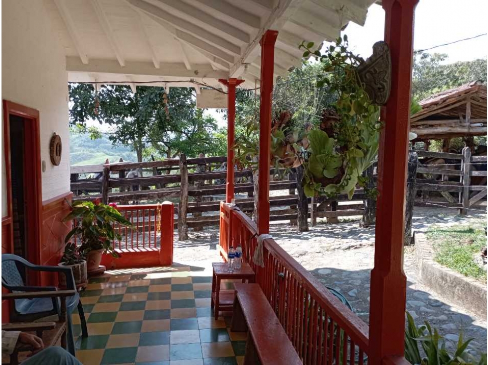 VENTA FINCA LA PINTADA, SUROESTE ANTIOQUEÑO - 1