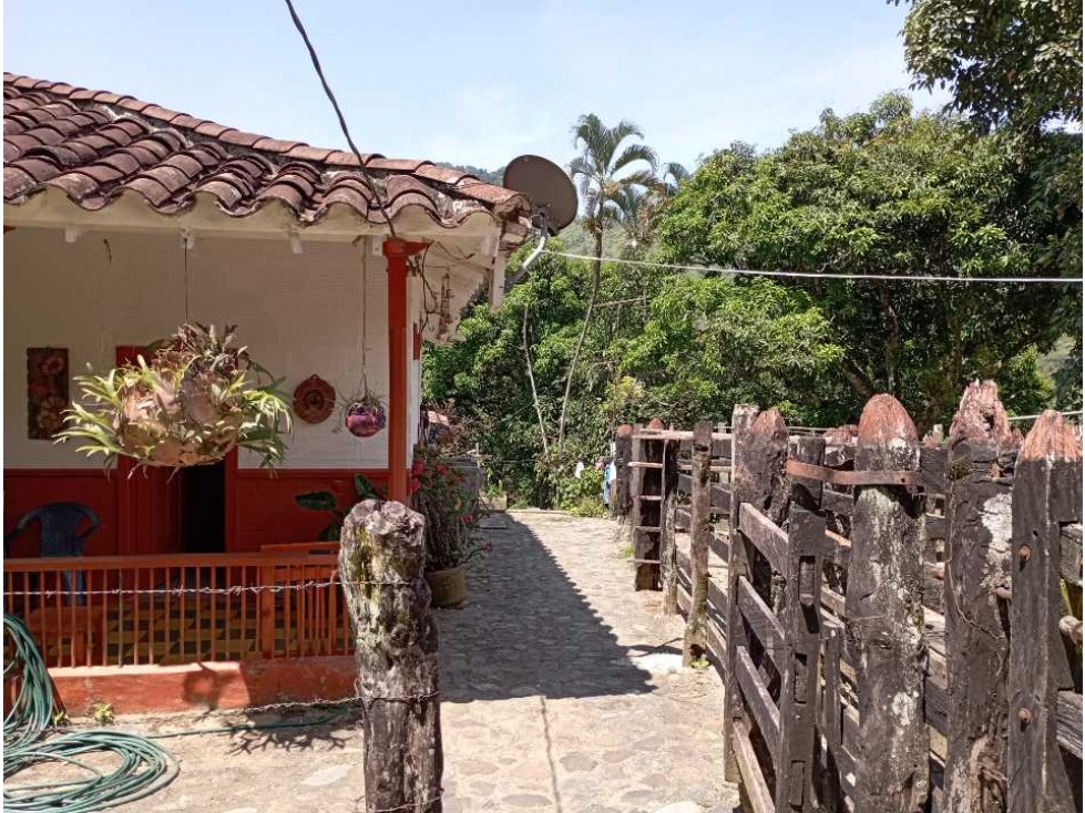 VENTA FINCA LA PINTADA, SUROESTE ANTIOQUEÑO - 6