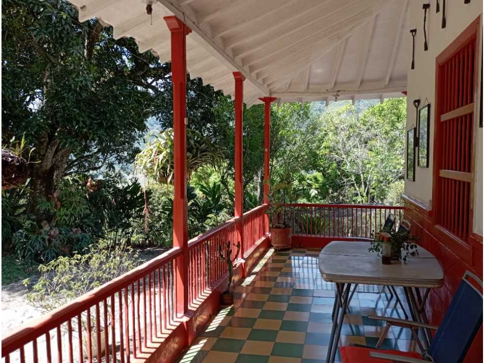 VENTA FINCA LA PINTADA, SUROESTE ANTIOQUEÑO - 2