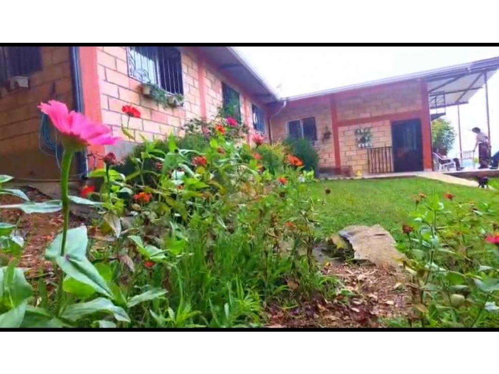 Venta finca de descanso y producción Vereda Altos de Yarumal Concordia - 1