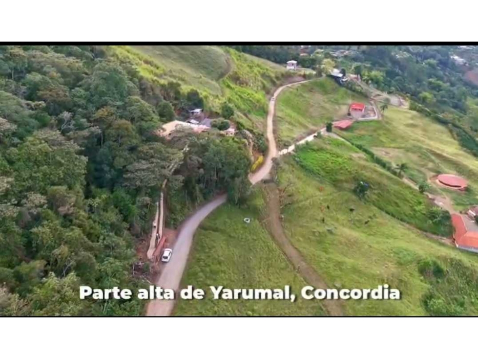 Venta finca de descanso y producción Vereda Altos de Yarumal Concordia - 4
