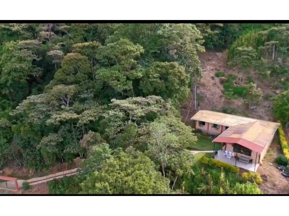 Venta finca de descanso y producción Vereda Altos de Yarumal Concordia - 5