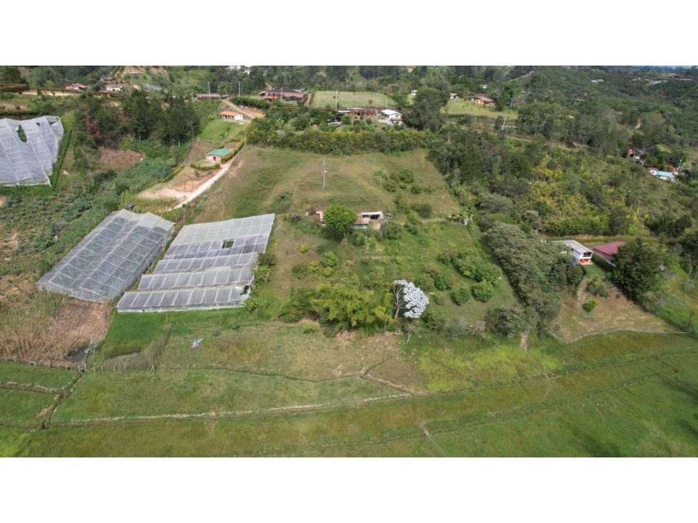 Venta Finca de producción San Vicente, Antioquia — foto 5