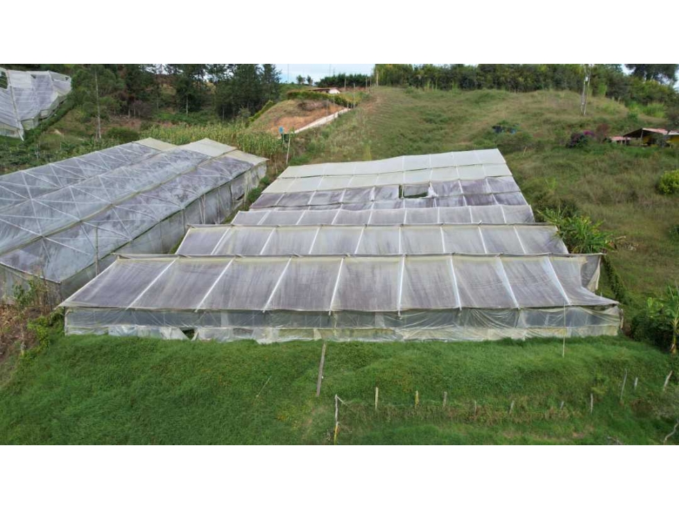Venta Finca de producción San Vicente, Antioquia — foto 4